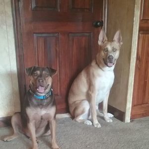 Meet your Posher, Brandi